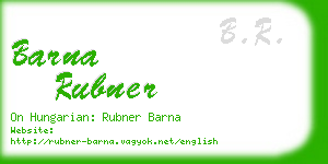 barna rubner business card